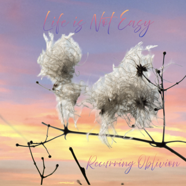 Life Is Not Easy Witte pluizenbolletjes op takken tegen een kleurrijke zonsondergang.